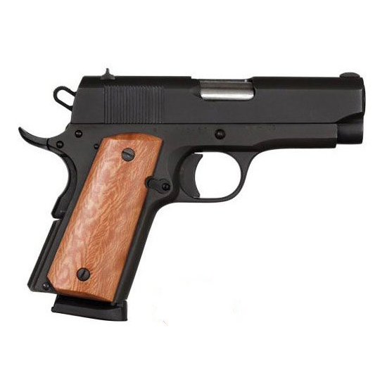 RIA 1911 GI 45ACP 3.5